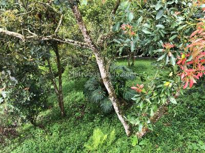 Casa en venta en Pereira · foto 14 de 20