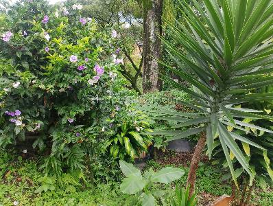 Casa en venta en Ciudadela Comfamiliar I, Pereira · foto 18 de 19