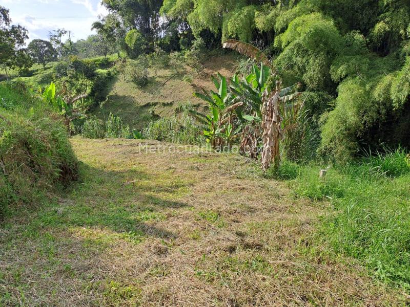Lote en Venta, Condiminio Cipango, Pereira - Vista 2