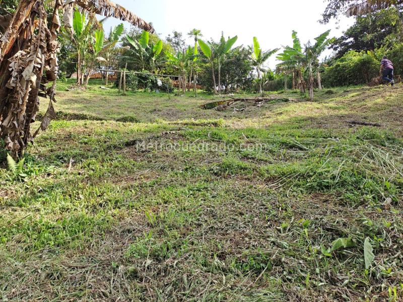 Lote en Venta, Condiminio Cipango, Pereira - Vista 3