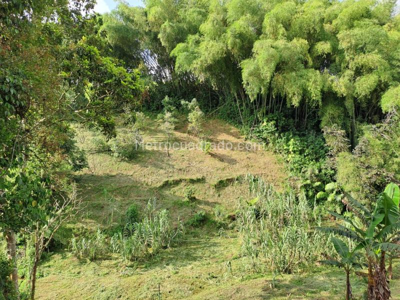 Lote en Venta, Condiminio Cipango, Pereira - Vista 4