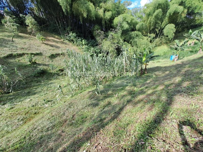 Lote en Venta, Condiminio Cipango, Pereira - Vista 5