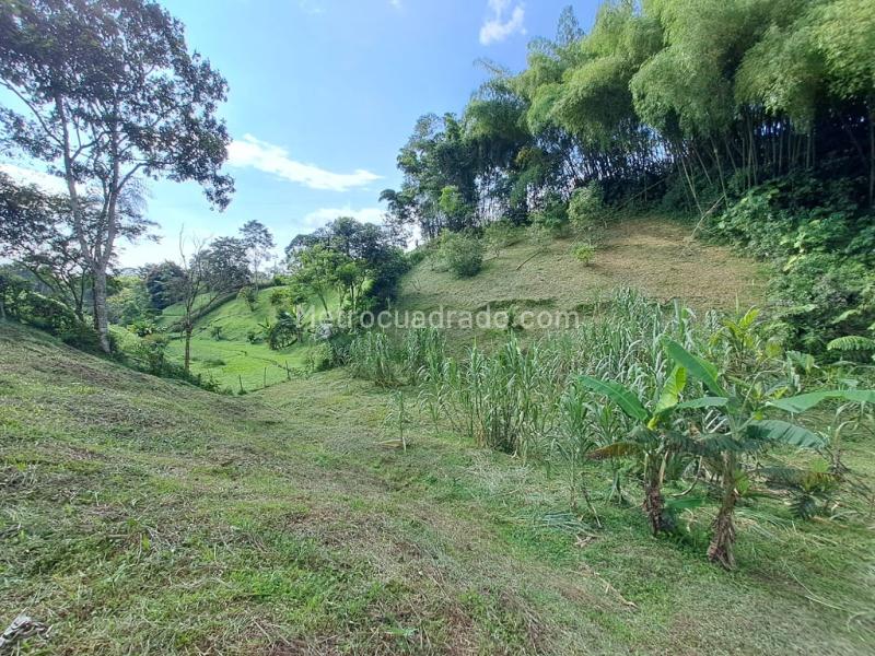 Lote en Venta, Condiminio Cipango, Pereira - Más
