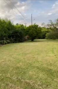 Lote en Venta, Villa Olimpica, Pereira
