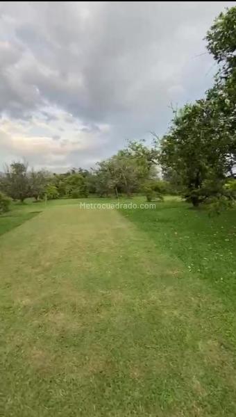 Lote en Venta, Villa Olimpica, Pereira - Más
