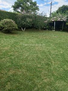 Casa en venta en Betulia, Pereira · foto 5 de 20