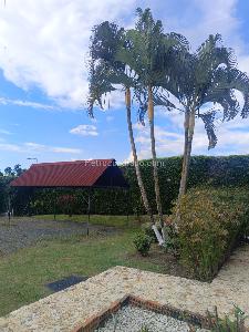 Casa de 3 alcobas en venta en Cedritos, Pereira, 240 m² · foto 9 de 20