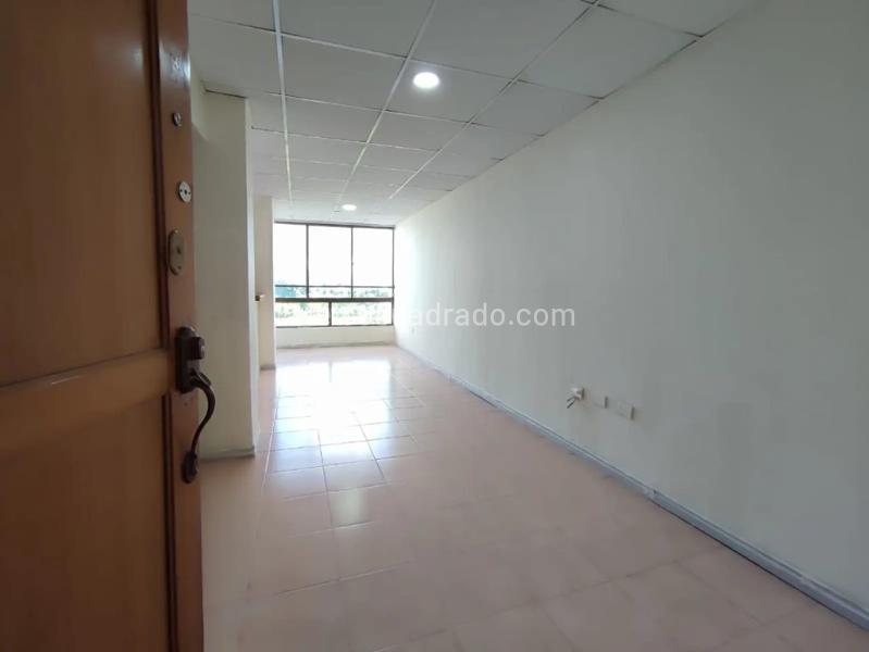 Piso – Pereira - Más