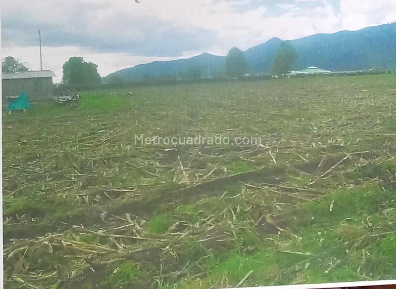 Lote en Venta, TUNA BAJA, Bogotá D.C. - Más
