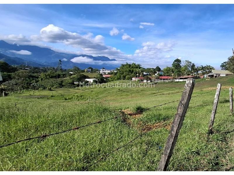 Lote en Venta, Via Circasia Sector Entremaderos, Armenia - Vista 2