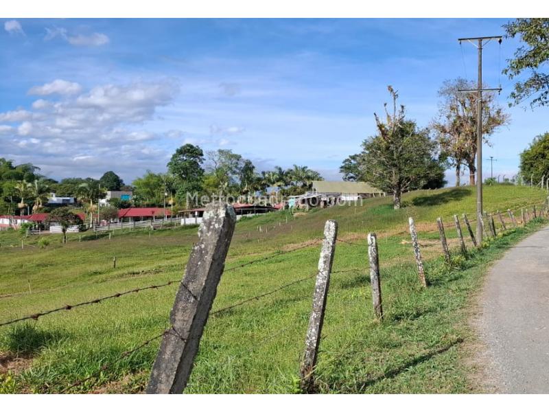 Lote en Venta, Via Circasia Sector Entremaderos, Armenia - Vista 3