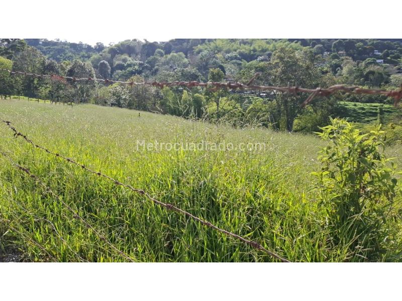 Lote en Venta, Via Circasia Sector Entremaderos, Armenia - Vista 5