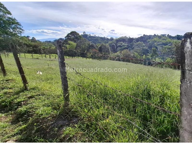 Lote en Venta, Via Circasia Sector Entremaderos, Armenia - Más