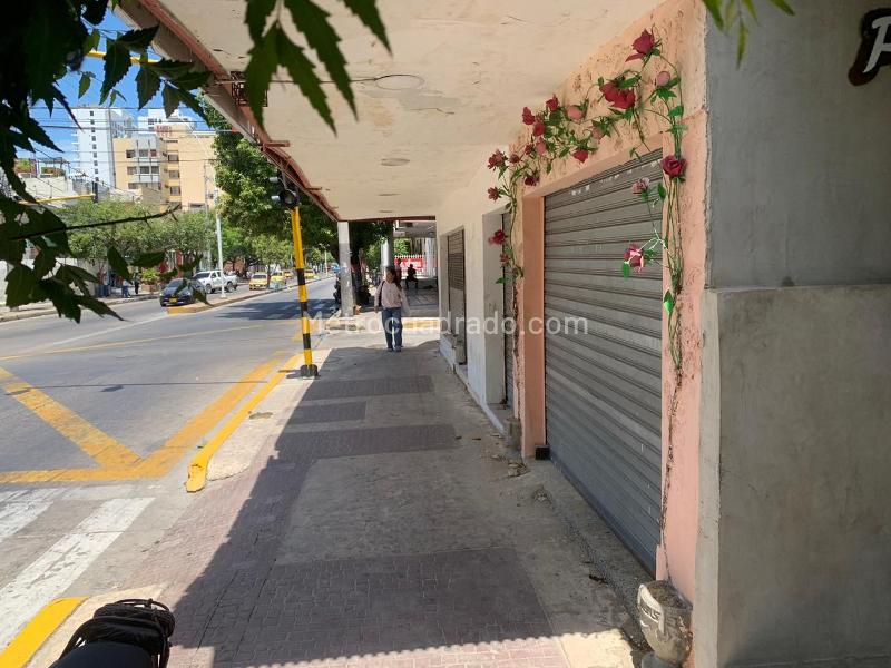 Local Comercial en Arriendo, CENTRO, Santa Marta - Vista 5