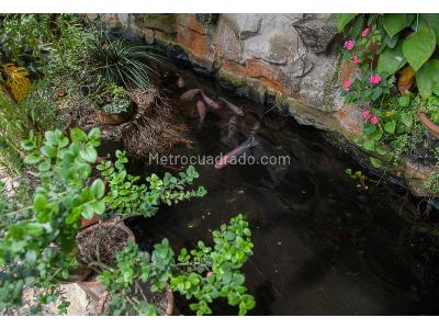 Casa de 5 alcobas en venta en Pance, Cali · foto 10 de 20