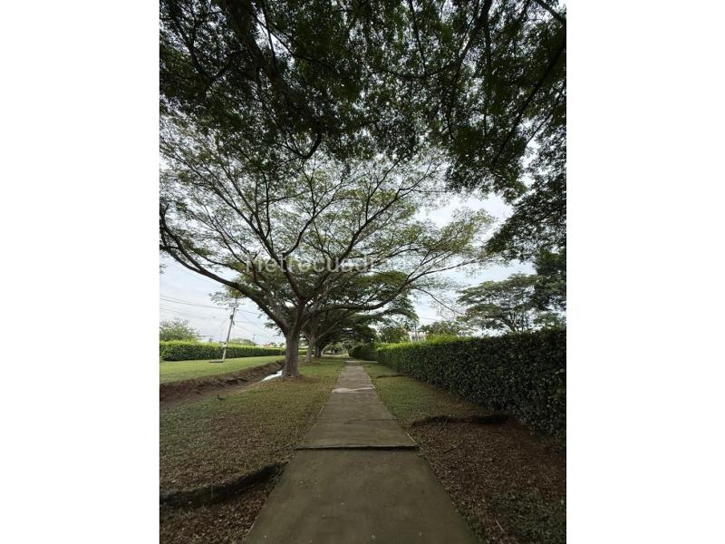Lote en Venta, La Morada, Jamundi - Vista 5