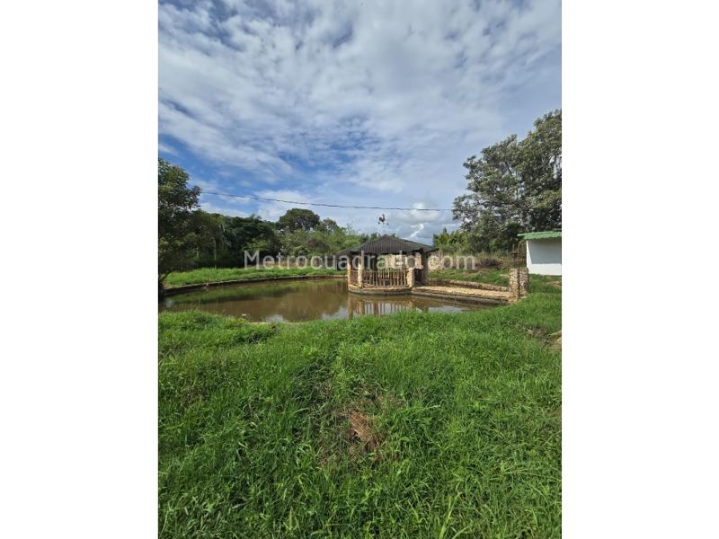 Lote en Venta, Condominio Palmeras, Jamundi - Vista 3