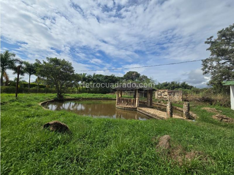 Lote en Venta, Condominio Palmeras, Jamundi - Más