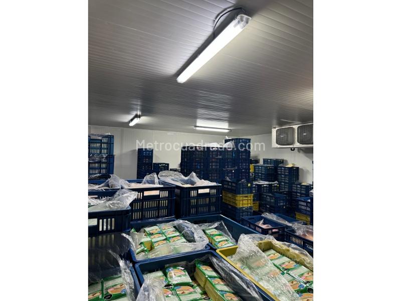 Bodega en Arriendo, La Flora, Cali - Vista 5