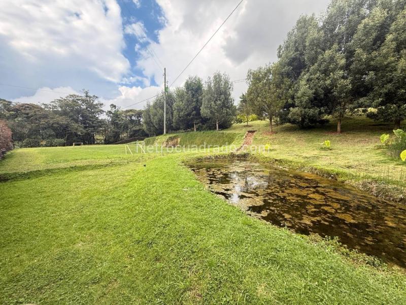 Casa en Arriendo, Vereda Pantanillo, Envigado - 3