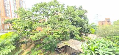 Apartamento de 3 alcobas en venta en Castropol, Medellín, 121 m² · foto 14 de 19