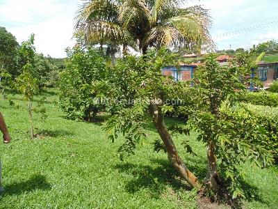 Casa en venta en Via Alcala, Pereira · foto 5 de 20