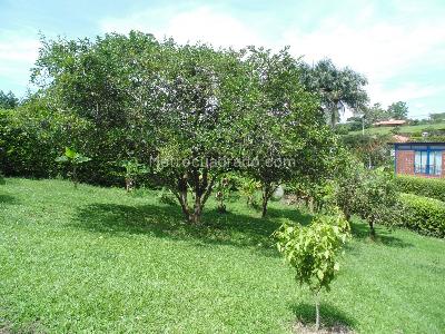 Casa en venta en Via Alcala, Pereira · foto 6 de 20