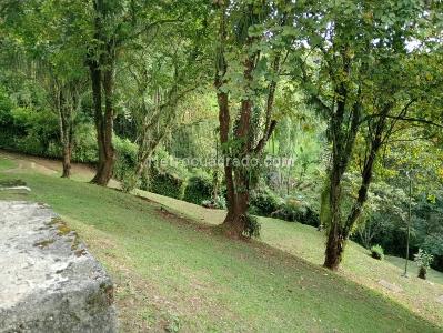 Apartamento de 3 alcobas en venta en Terminal, Pereira, 77 m² · foto 3 de 14