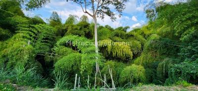 Casa de 3 alcobas en venta en Vereda El Tigre, Pereira · foto 17 de 17