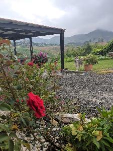 Casa en venta en Combia, Pereira · foto 4 de 20