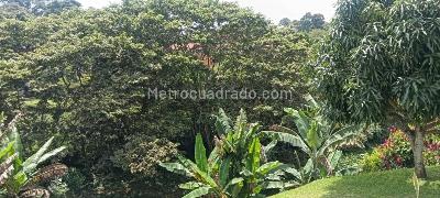 Casa en venta en Combia, Pereira · foto 18 de 19
