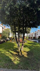 Casa en venta en Av, Pereira · foto 17 de 17