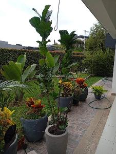 Casa de 4 alcobas en venta en Via Variante Condina, Pereira, 1702 m² · foto 13 de 15