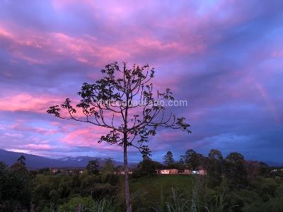 Casa en venta en Altagracia, Pereira · foto 2 de 8