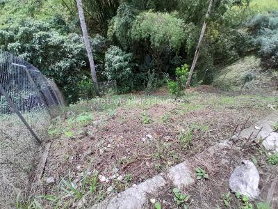 Casa de 2 alcobas en venta en Mundo Nuevo, Pereira, 611 m² · foto 16 de 16