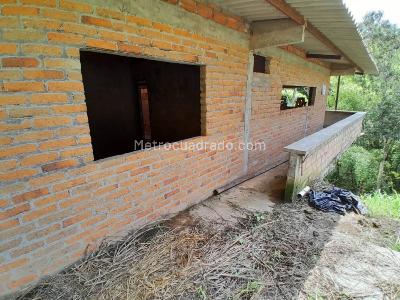 Casa de 2 alcobas en venta en Mundo Nuevo, Pereira, 611 m² · foto 3 de 16
