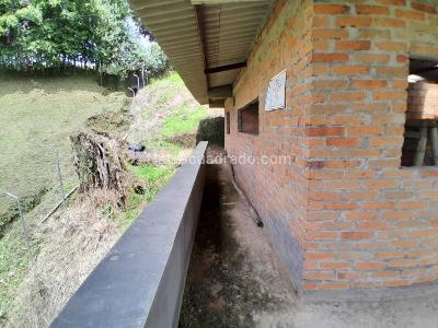 Casa de 2 alcobas en venta en Mundo Nuevo, Pereira, 611 m² · foto 5 de 16