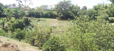 Casa en venta en Combia, Pereira · foto 16 de 20