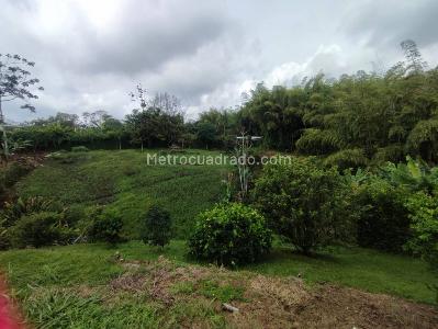 Casa en venta en Combia, Pereira · foto 19 de 20