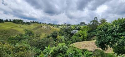 Casa en venta en Via Armenia, Pereira · foto 12 de 12