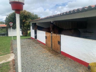 Casa de 5 alcobas en arriendo en Via Alcala, Pereira · foto 15 de 19