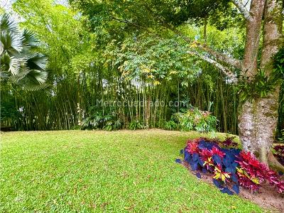 Casa de 4 alcobas en venta en El Tigre, Pereira · foto 20 de 20