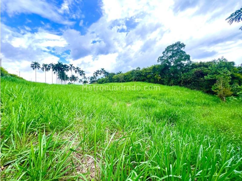 Lote en Venta, Cerritos, Pereira - Vista 3