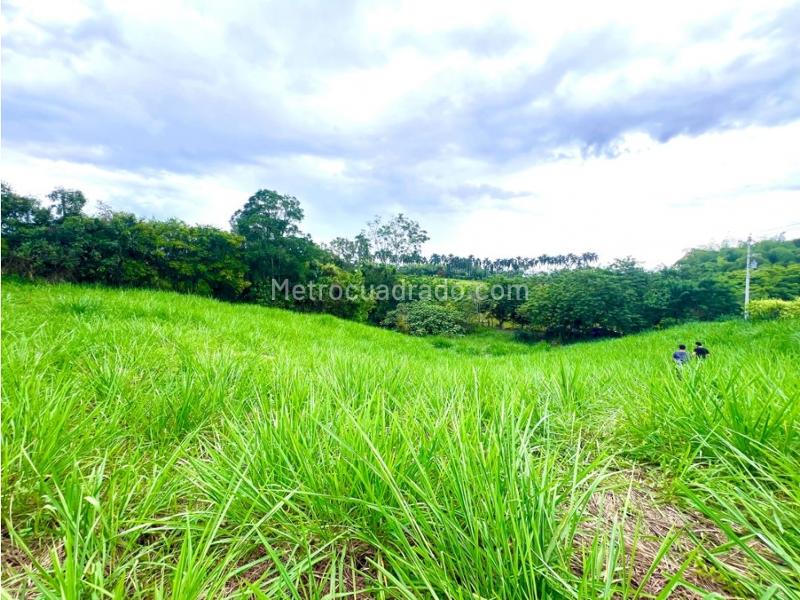 Lote en Venta, Cerritos, Pereira - Vista 4