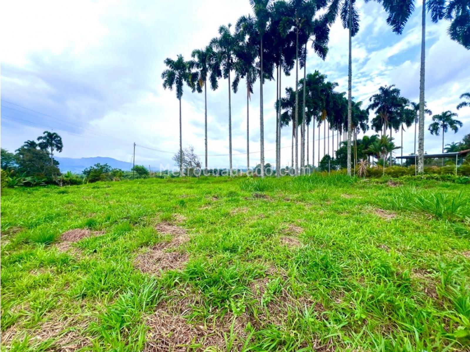 Lote en Venta, Cerritos, Pereira - Más