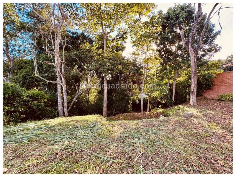 Lote en Venta, Cerritos, Pereira - Vista 3