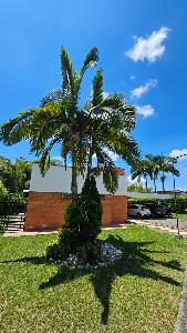 Casa de 4 alcobas en venta en El Tigre, Pereira, 1220 m² · foto 6 de 10