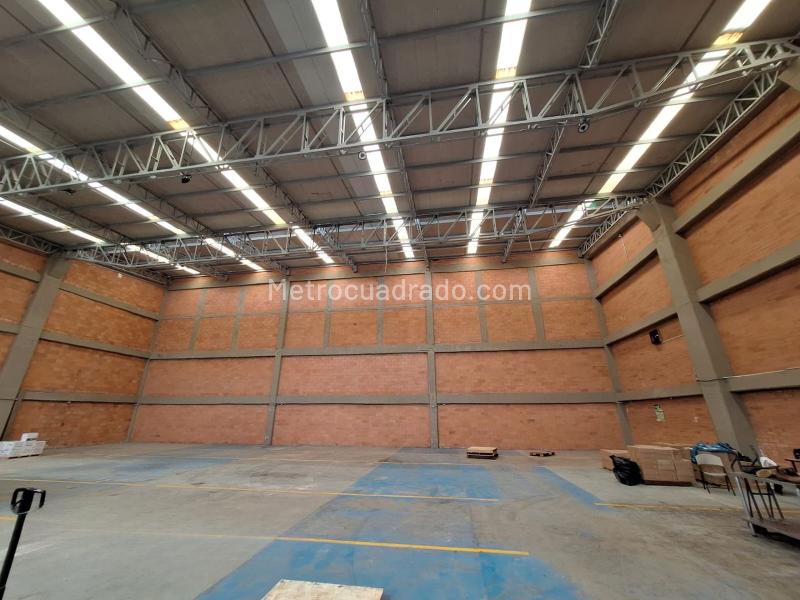 Bodega en Arriendo, Ibague, Ibagué - Vista 4