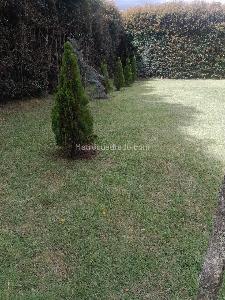 Casa de 5 alcobas en arriendo en Vereda El Peñasco Envigado, Envigado, 2000 m² · foto 20 de 20