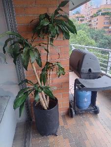 Apartaestudio en arriendo en El Poblado, Medellín, 60 m² · foto 14 de 19